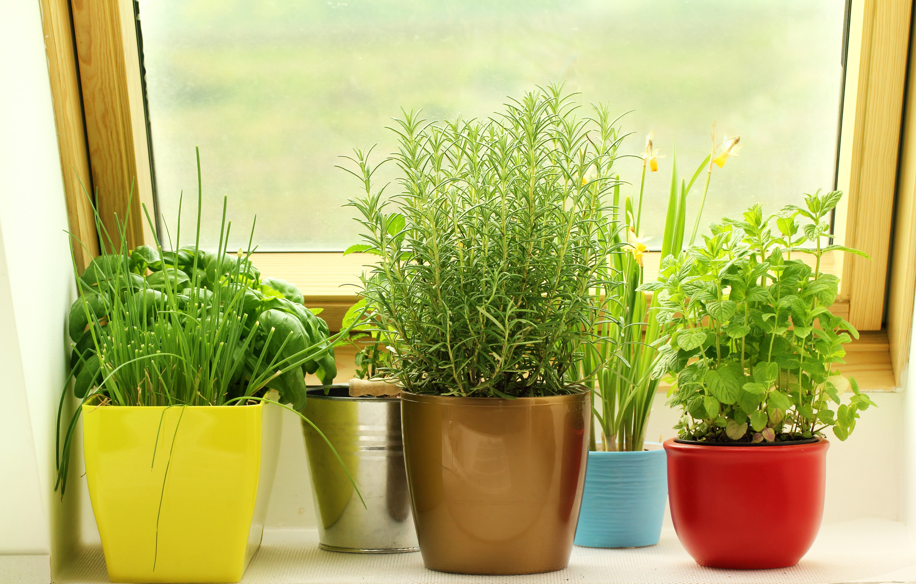 herb garden apartment